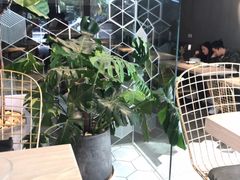 -Maxpoint Kitchen 西餐咖啡(乐峰广场店)