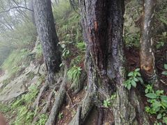 -明堂山风景区