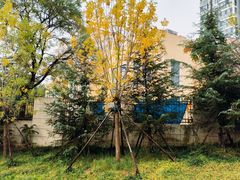 -青岛市市南区实验幼儿园(延吉路园)