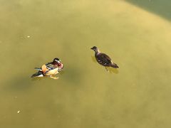 -西安曲江寒窑遗址公园