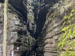 -梭布垭石林景区