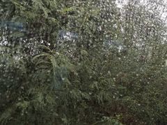 -七珍佛山