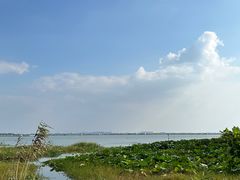 -莲花岛景区