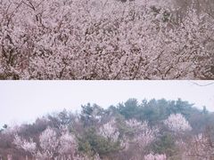 -王府井步行街