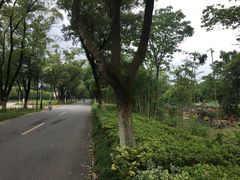 -南昌青山湖风景区