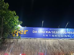 -大树下海鲜饭店