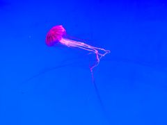 -沈阳海洋探索中心