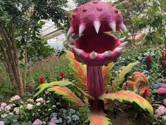 -沈阳植物园