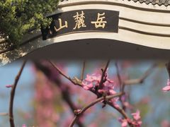 -岳麓山风景名胜区