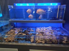 -董府和牛宴