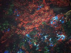 -芜湖方特东方神画