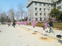 -山东师范大学(千佛山校区)