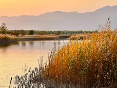 -野鸭湖国家湿地公园