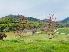 -风云岭森林公园