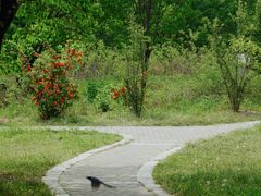 -国家植物园南园