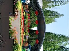 -东平国家森林公园