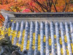 -青岛崂山太清宫