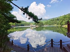 -庐山风景区花径公园