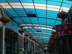 门面-中环花鸟鱼虫市场