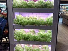 自助取餐区-7fresh七鲜(大族广场店)