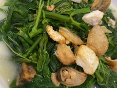 -香港深井掂檔烧鹅茶餐厅(海韵城店)