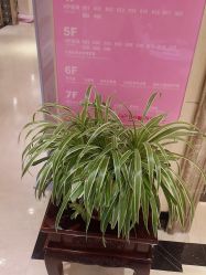 -北京俪婴妇产医院(朝阳大悦城店)