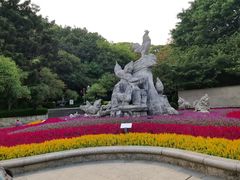 -金鸡山公园