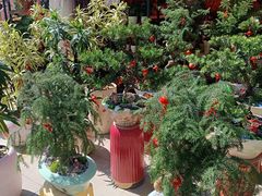 -碧桂园十里银滩