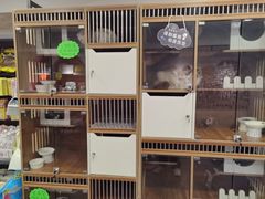 -樱桃家的宠物店(君安花园店)