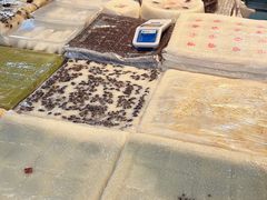 -阿毛方糕(七宝镇步行街店)