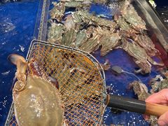 -高佳庄·舟山海鲜(海景旗舰店)