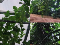 -第36个故事咖啡馆(东城美居中心A座店)