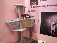 -神盾局密室逃脱(in77店)