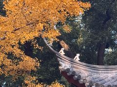 -汇龙潭