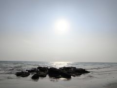 -贝壳沙滩