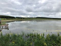 -塞罕坝国家级自然保护区