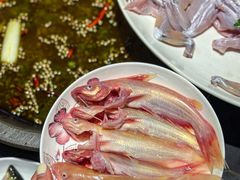 -石锅苗苗鱼(武汉首店)