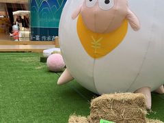 -阳光天地