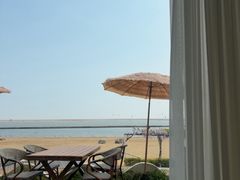 -碧海金沙