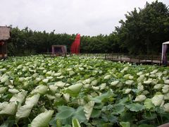 IMG_5204-茂德公草堂