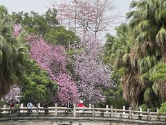 -柳侯公园