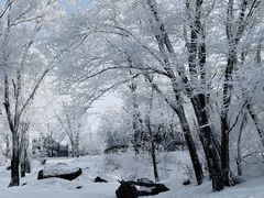 -中旅松花湖滑雪场