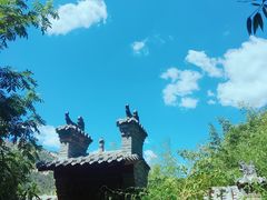 -老张烤羊(王哥庄店)
