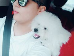 -美迦爱-牙专科·兔科·骨科诊疗中心(北苑店)