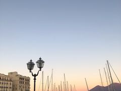 -蛋堡