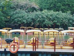 -珠海圆明新园