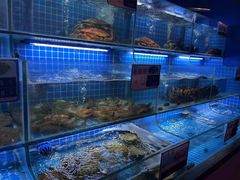 -鸽子侯·家宴·平价海鲜(市图书馆店)