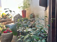 -月栖华明-云间草堂清茶馆(泗泾古镇店)