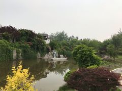 -武清南湖绿博园