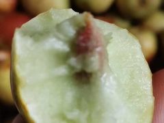 -三亚新鸿港水果一级批发市场